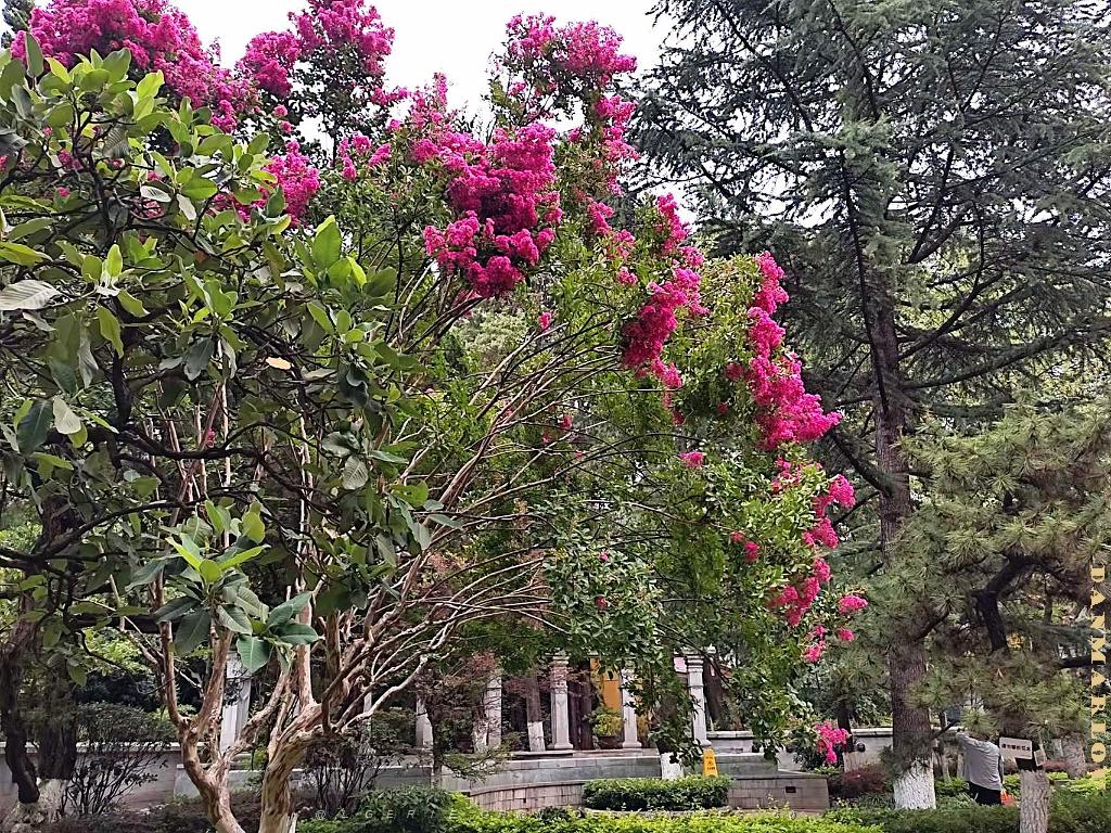 KUNMING - Maison de LU HAN - 51.jpg